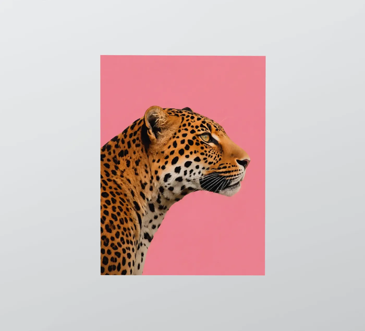 Leopard pink background sticker by Eliban
