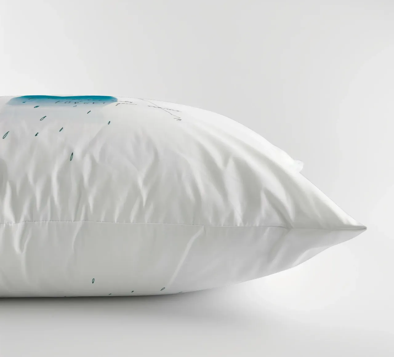 If I Could Only Forget Your Name cuscino da Manuel Rebollo