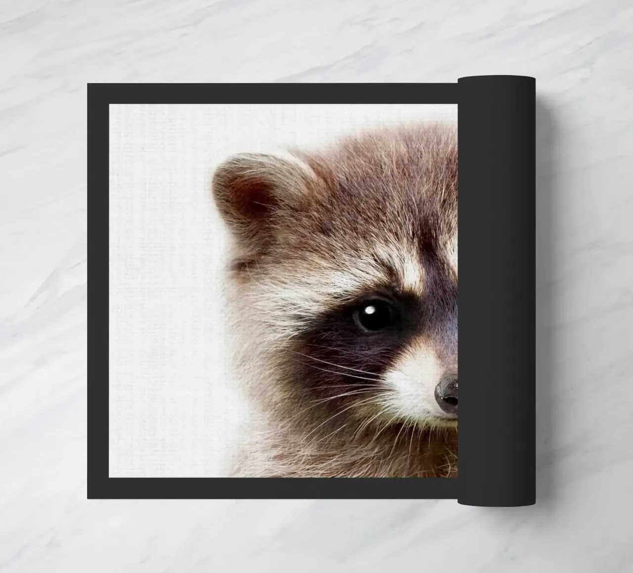Peekaboo Racoon zerbino da Lila x Lola