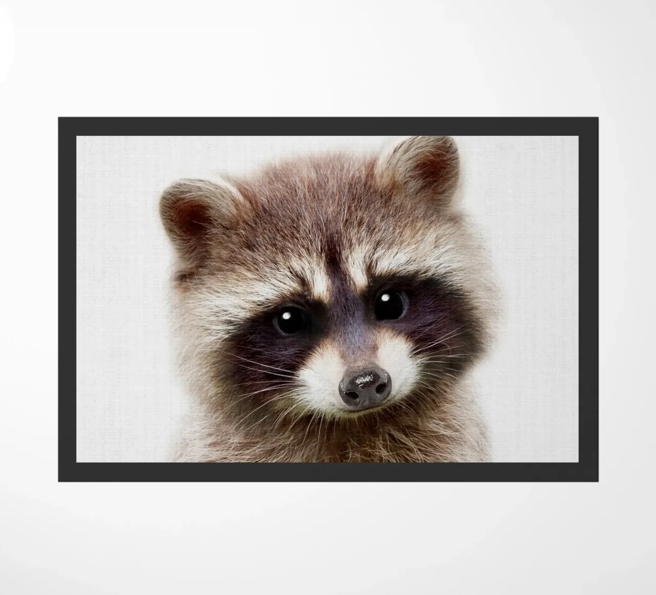 Peekaboo Racoon zerbino da Lila x Lola