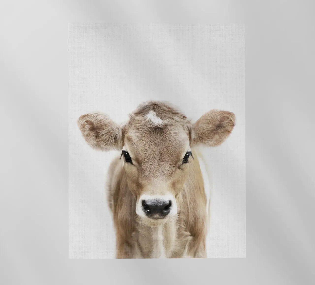 Mucca vitello Peekaboo pellicola backlit da Lila x Lola