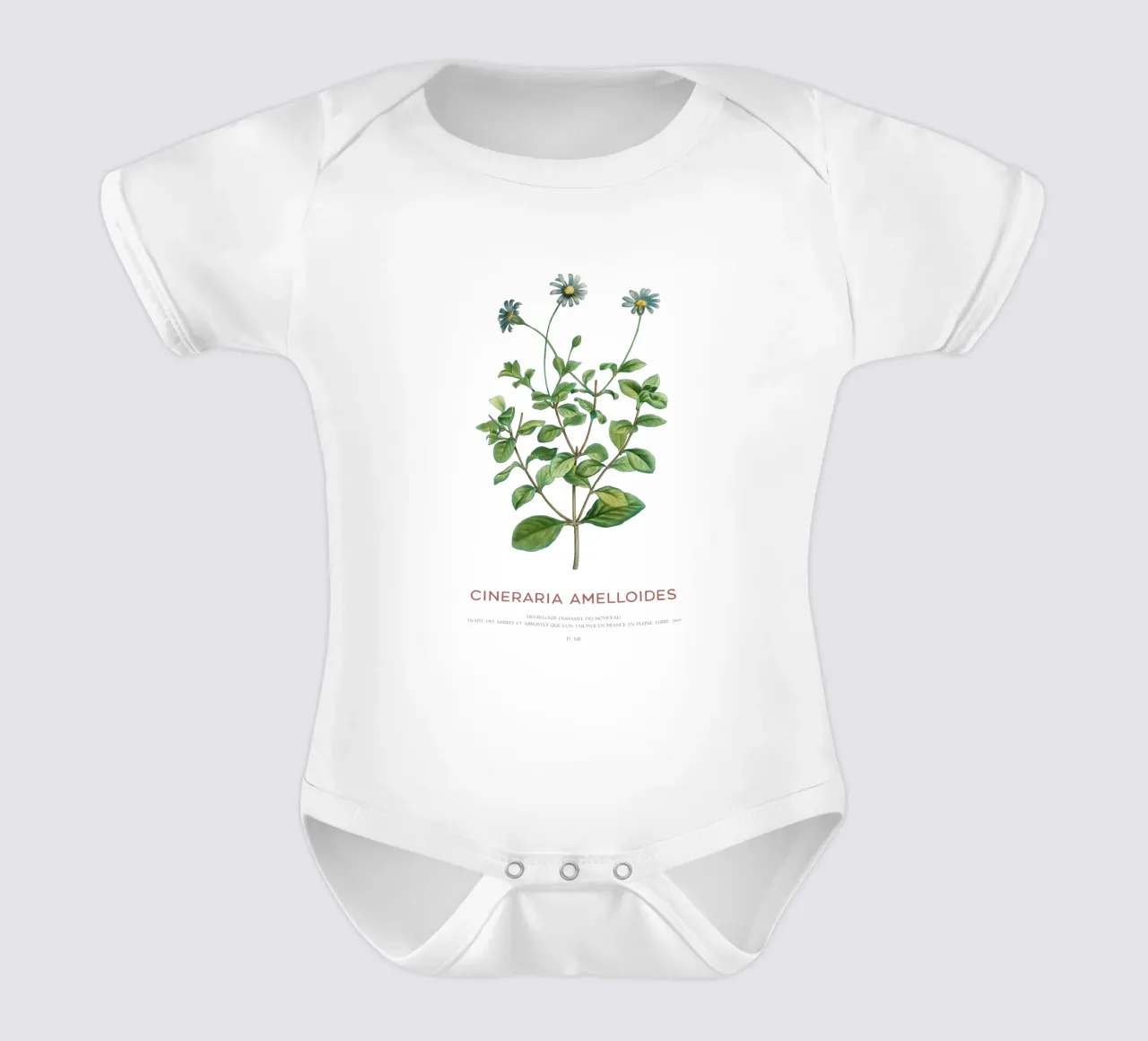 Blauer Gänseblümchenstrauch oder Cineraria Amelloides Kurzarm Babybody von Vintagrafica