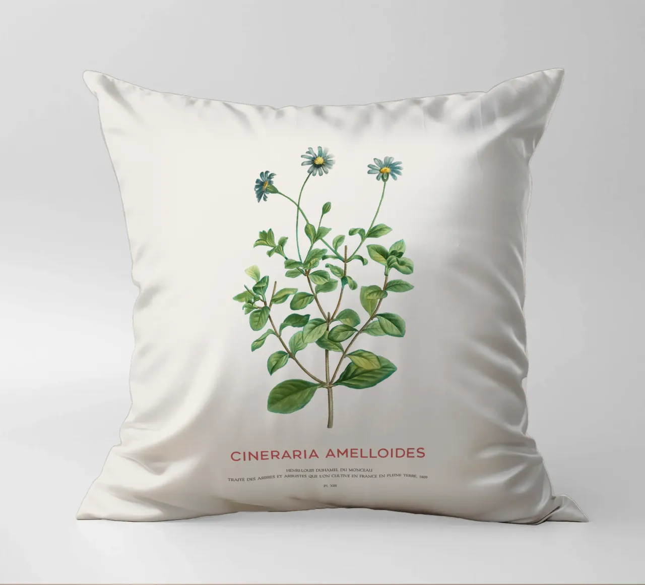 Blue daisy bush or Cineraria Amelloides decorative cushion by Vintagrafica