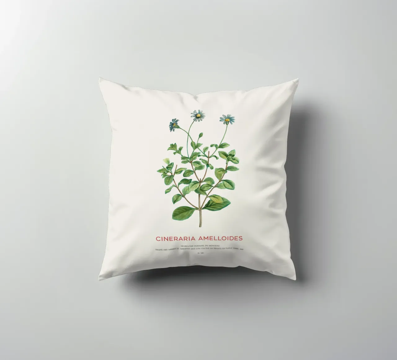 Blue daisy bush or Cineraria Amelloides decorative cushion by Vintagrafica