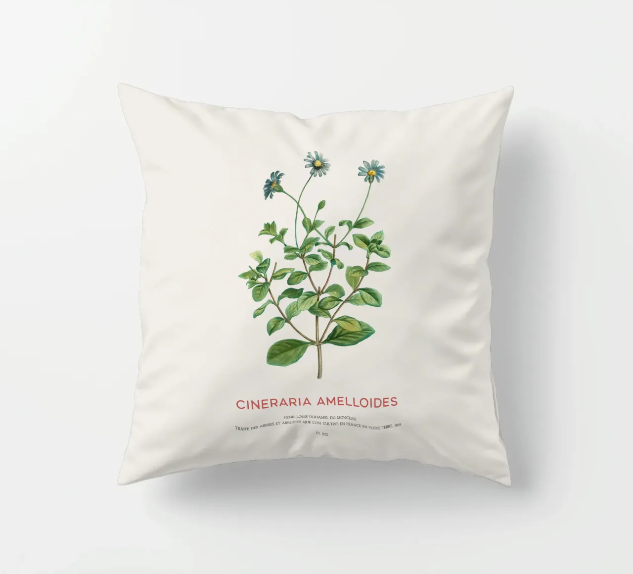 Blue daisy bush or Cineraria Amelloides decorative cushion by Vintagrafica