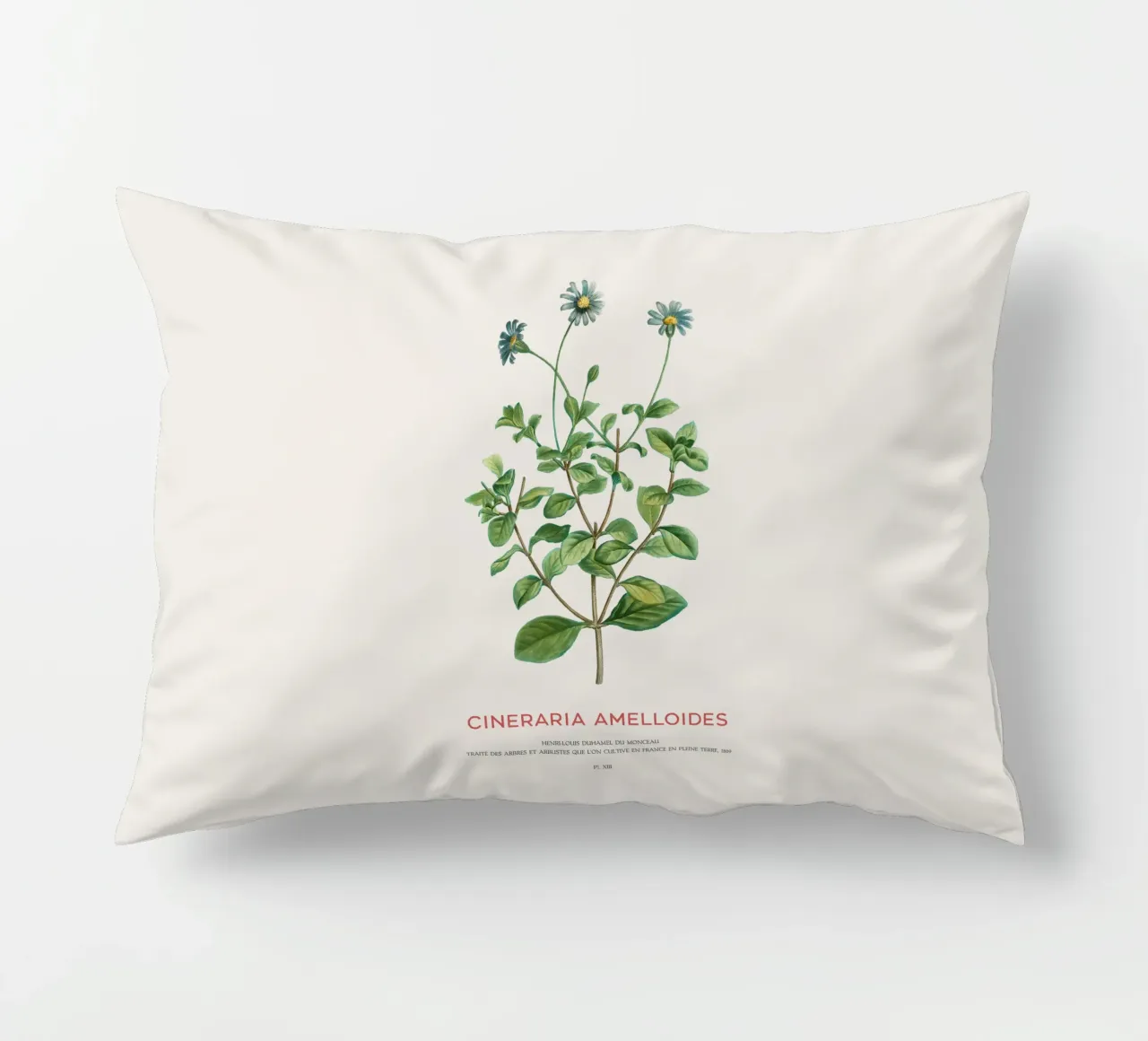 Blue daisy bush or Cineraria Amelloides decorative cushion by Vintagrafica