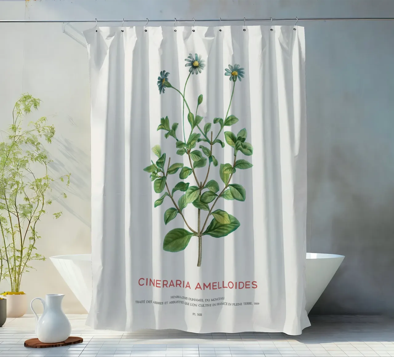 Blauer Gänseblümchenstrauch oder Cineraria Amelloides Duschvorhang von Vintagrafica