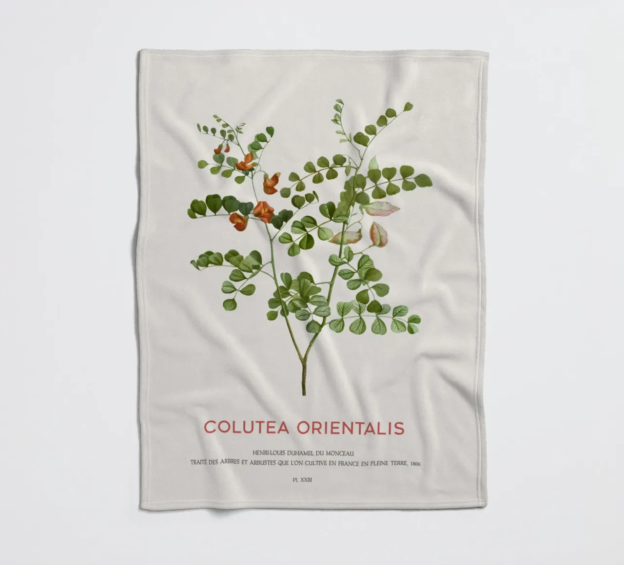 Blutfleckblättrige Senna oder Colutea Orientalis Fleecedecke von Vintagrafica