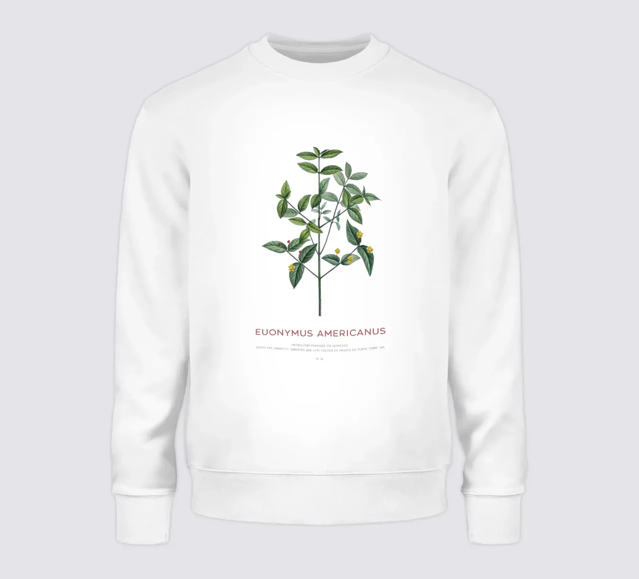 Cespuglio di fragole americane o Euonymus Americanus felpa da Vintagrafica