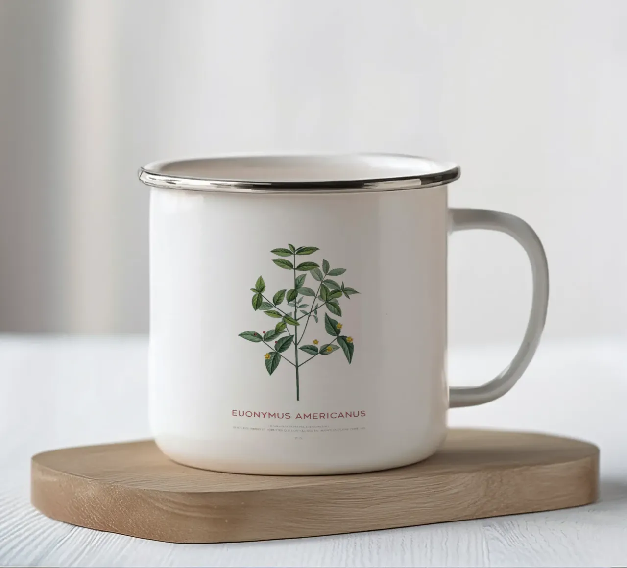 Cespuglio di fragole americane o Euonymus Americanus tazza in smalto da Vintagrafica