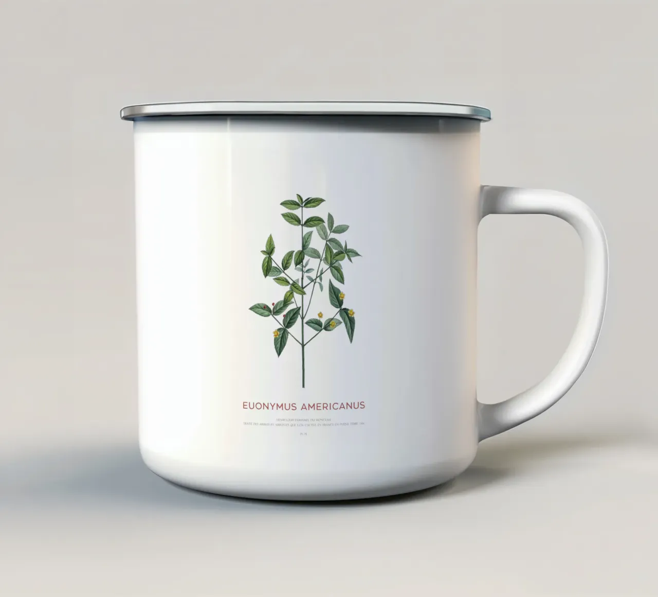 Cespuglio di fragole americane o Euonymus Americanus tazza in smalto da Vintagrafica