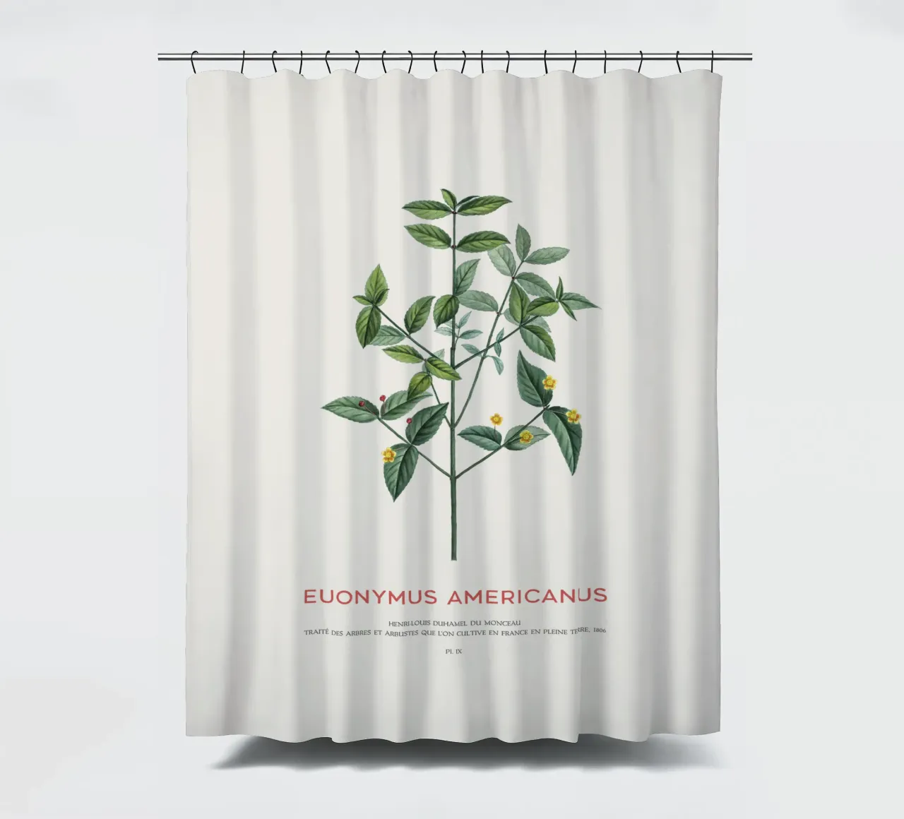 Cespuglio di fragole americane o Euonymus Americanus tenda da doccia da Vintagrafica