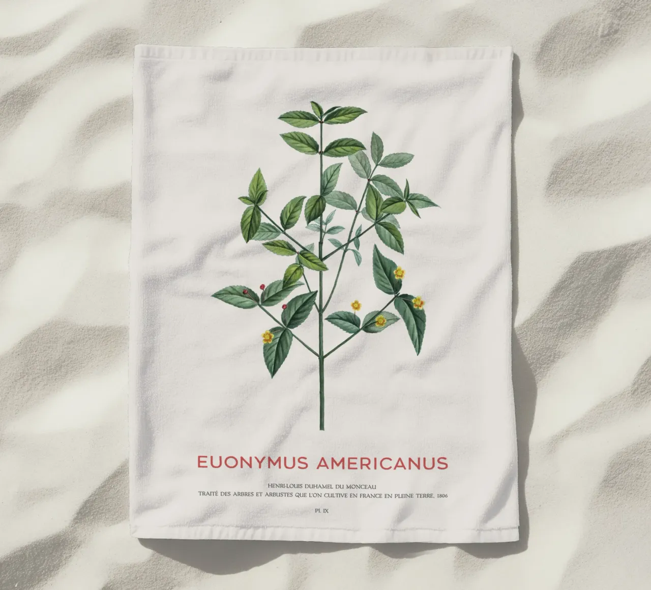 Cespuglio di fragole americane o Euonymus Americanus telo mare da Vintagrafica