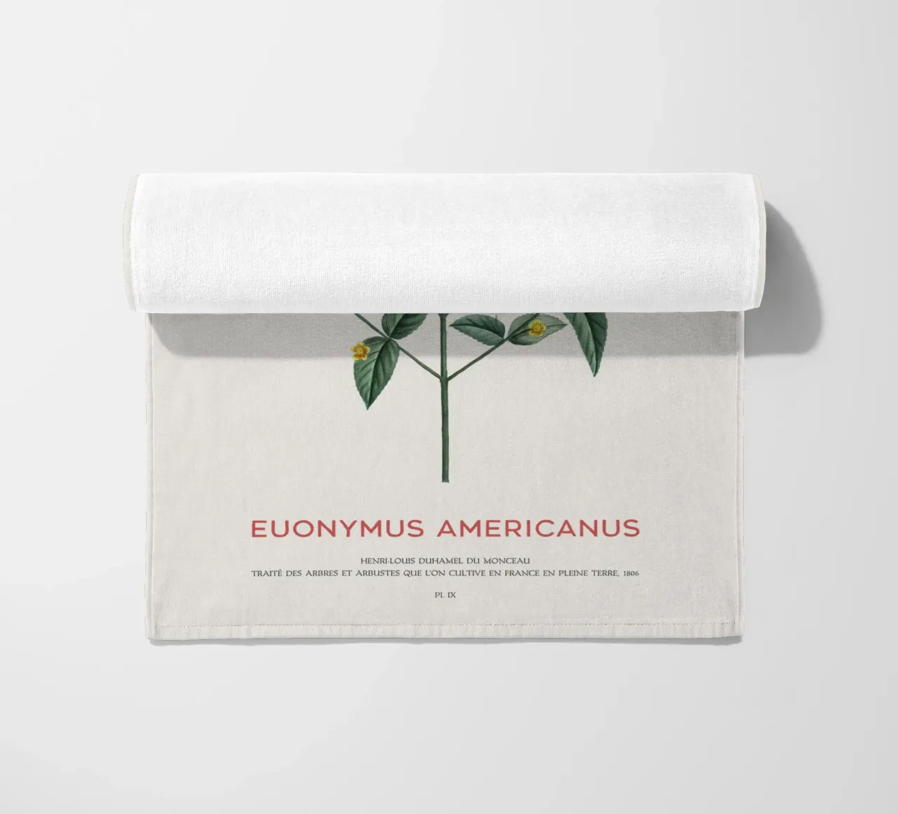 Cespuglio di fragole americane o Euonymus Americanus telo mare da Vintagrafica
