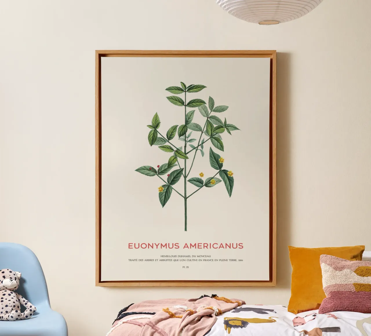 Cespuglio di fragole americane o Euonymus Americanus tela con Cornice a cassetta da Vintagrafica