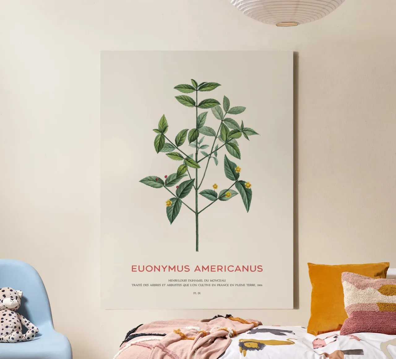 Cespuglio di fragole americane o Euonymus Americanus tela con Cornice a cassetta da Vintagrafica