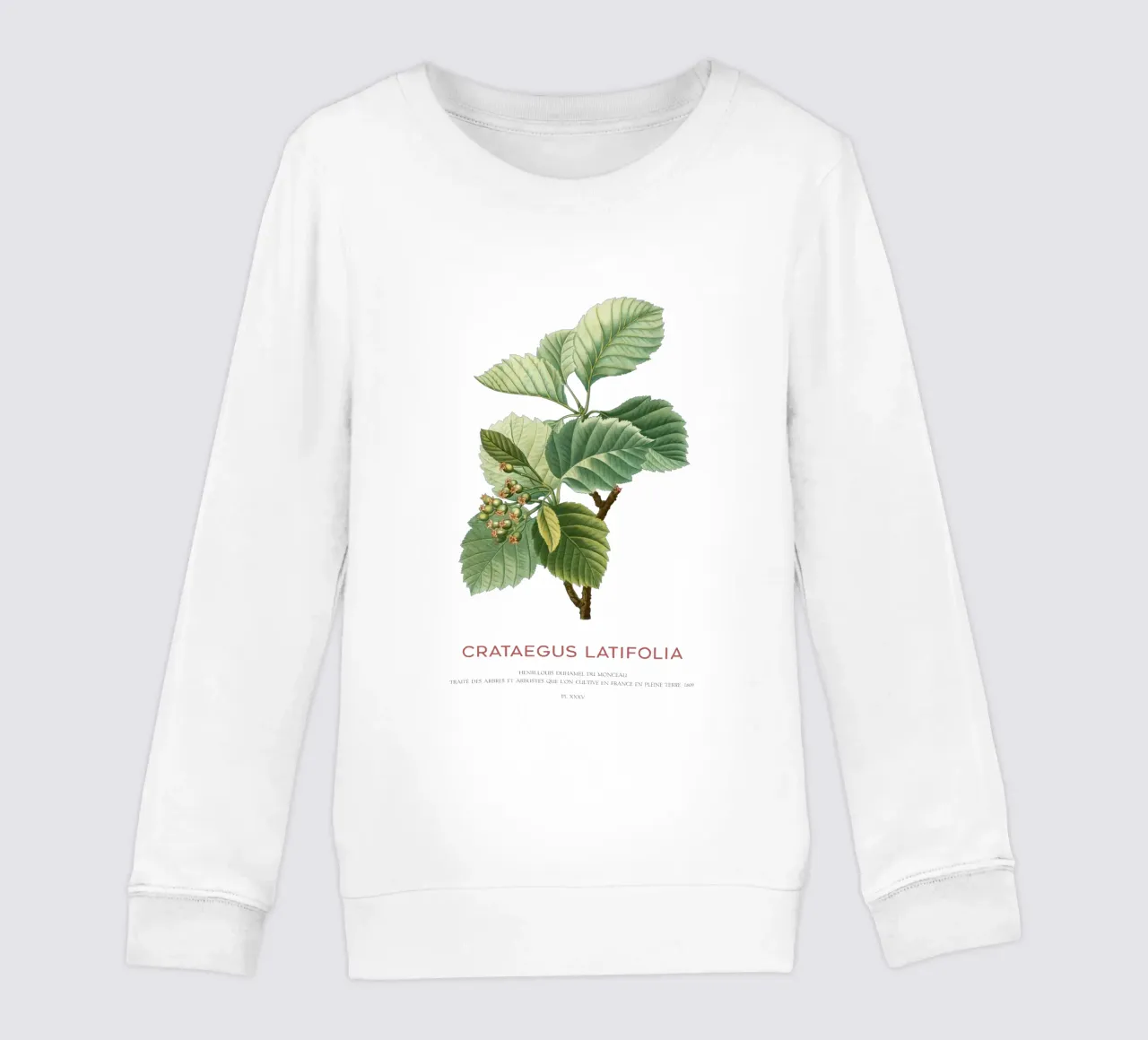 Crataegus Latifolia o biancospino a foglia larga felpa bambino da Vintagrafica