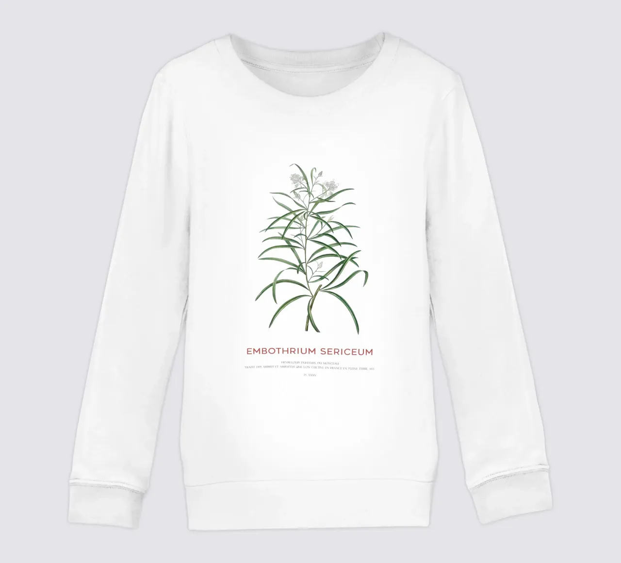 Fiore di ragno rosa o Embothrium Sericeum felpa bambino da Vintagrafica