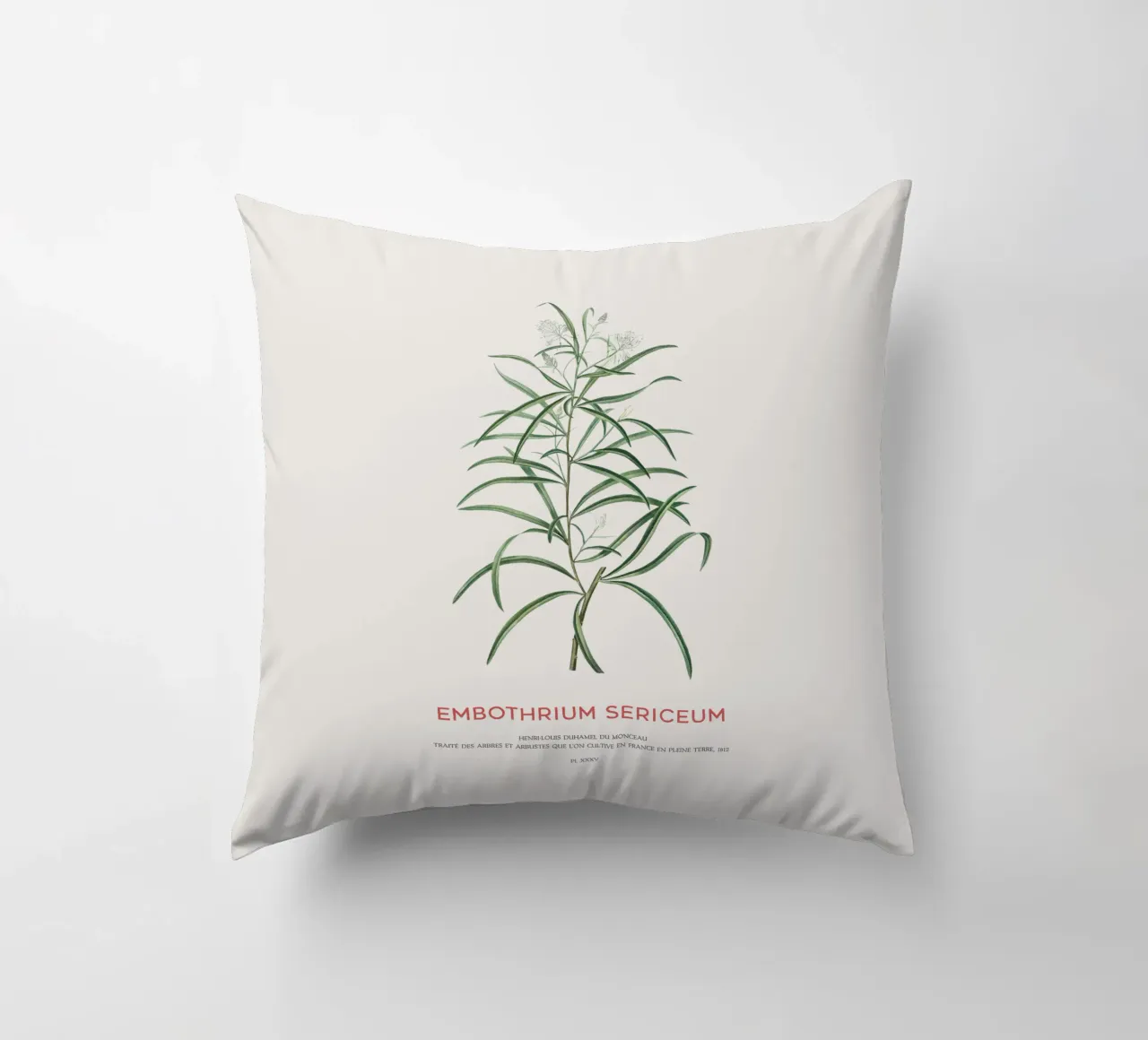 Fiore di ragno rosa o Embothrium Sericeum cuscino da Vintagrafica