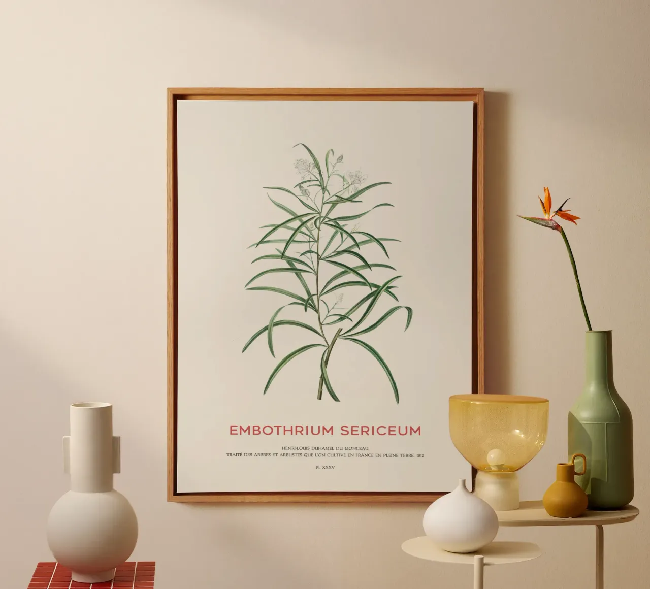Fiore di ragno rosa o Embothrium Sericeum tela con Cornice a cassetta da Vintagrafica