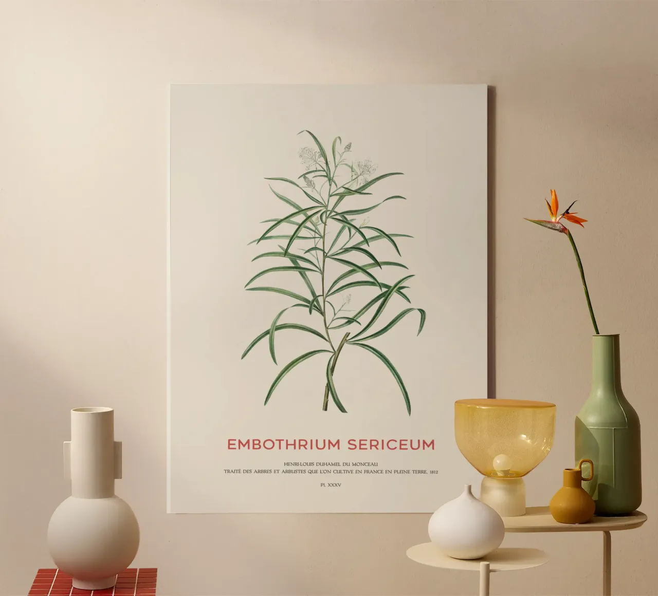Fiore di ragno rosa o Embothrium Sericeum tela con Cornice a cassetta da Vintagrafica