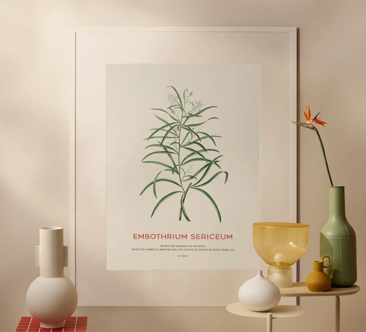 Fiore di ragno rosa o Embothrium Sericeum carta hahnemühle da Vintagrafica
