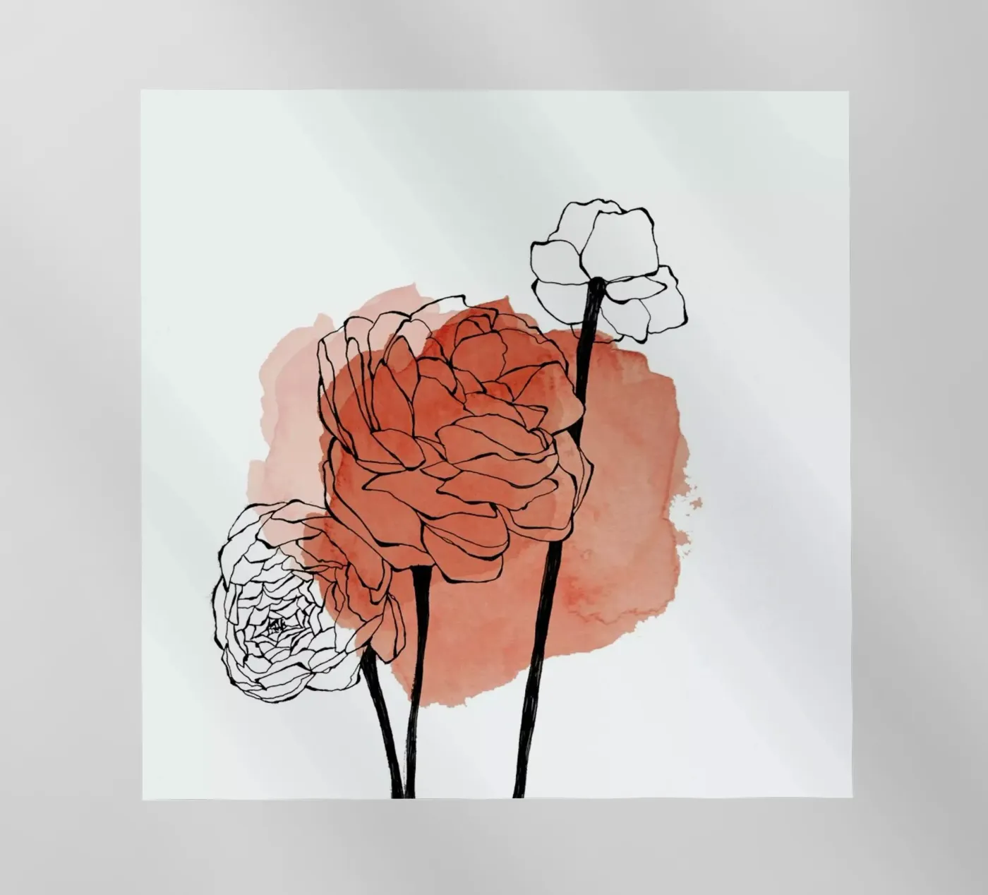 Ranunculus backlit folie van Morgan Kendall