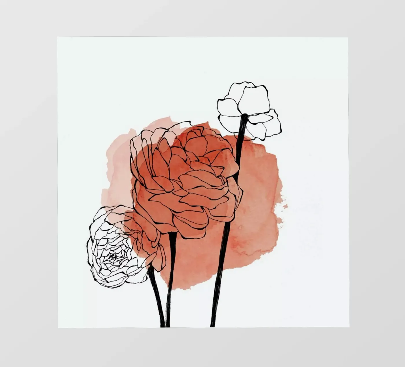 Ranunculus backlit folie van Morgan Kendall