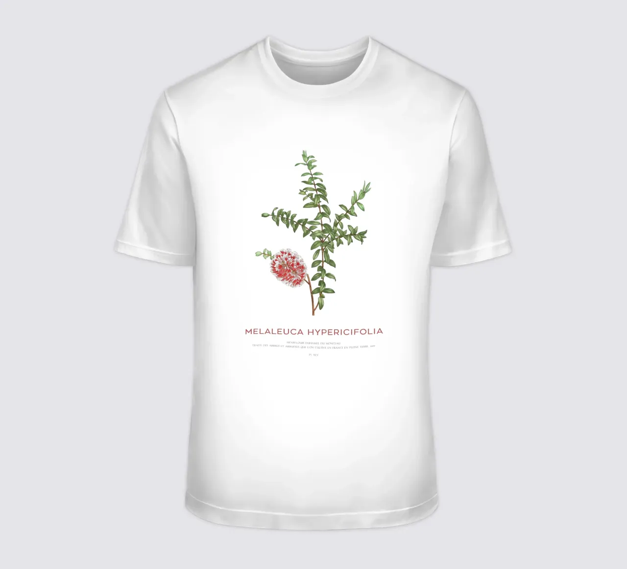 Arbusto a collinetta o Melaleuca Hypericifolia t-shirt da Vintagrafica