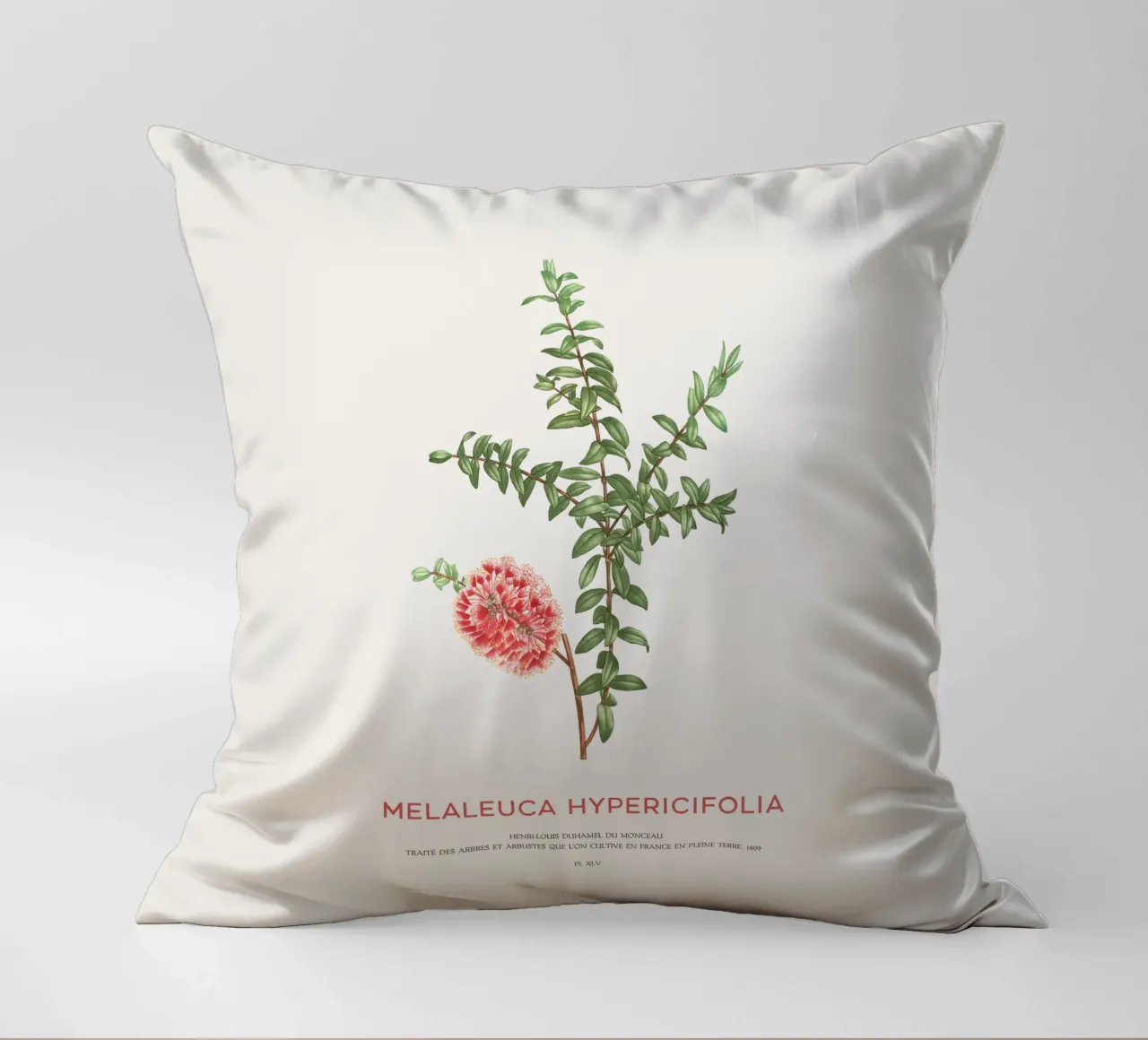 Arbusto a collinetta o Melaleuca Hypericifolia cuscino da Vintagrafica