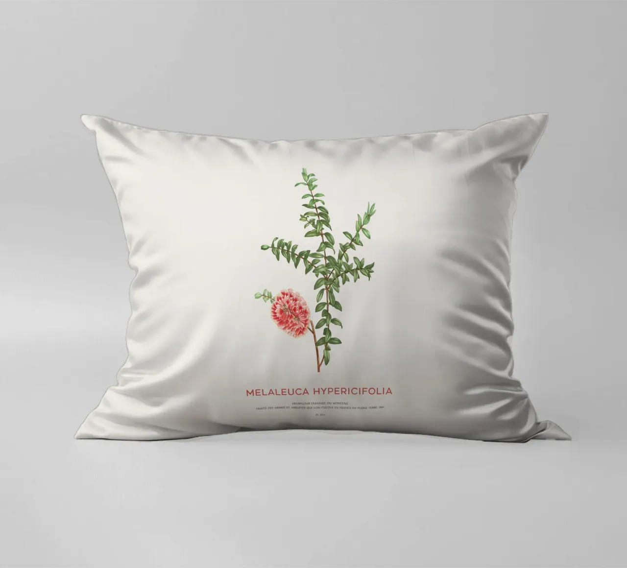 Arbusto a collinetta o Melaleuca Hypericifolia cuscino da Vintagrafica