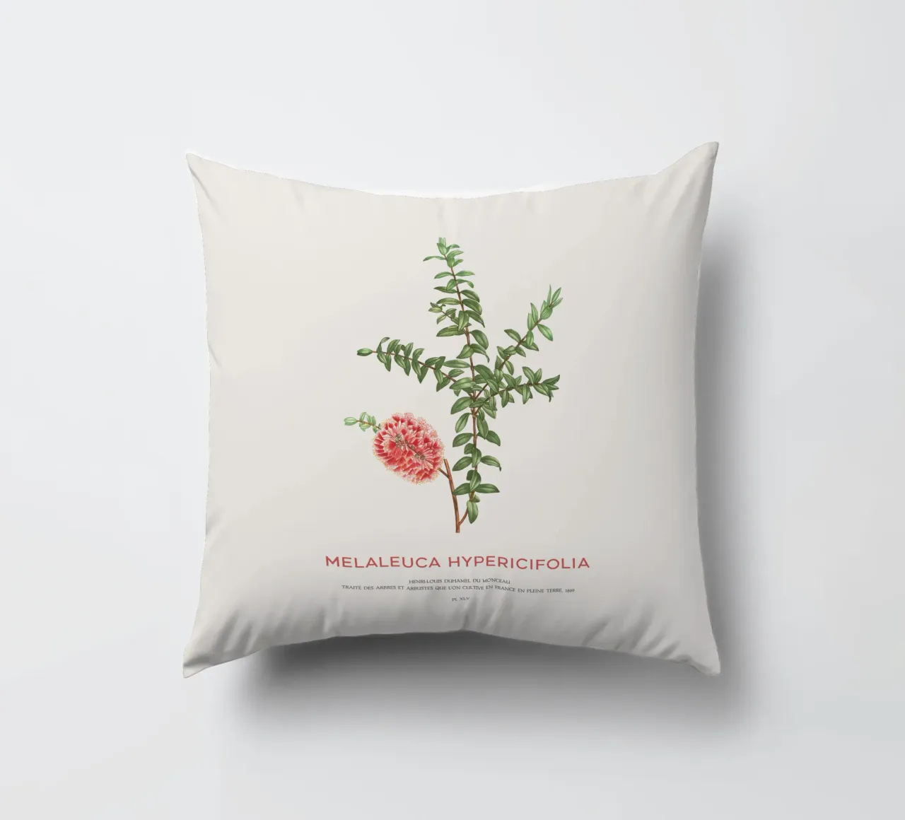 Arbusto a collinetta o Melaleuca Hypericifolia cuscino da Vintagrafica