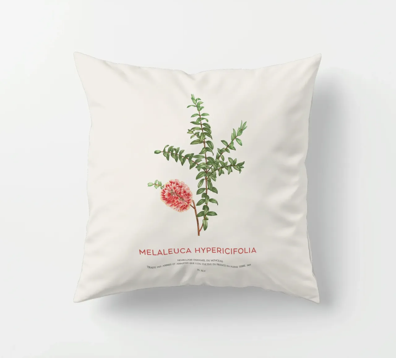 Arbusto a collinetta o Melaleuca Hypericifolia cuscino da Vintagrafica