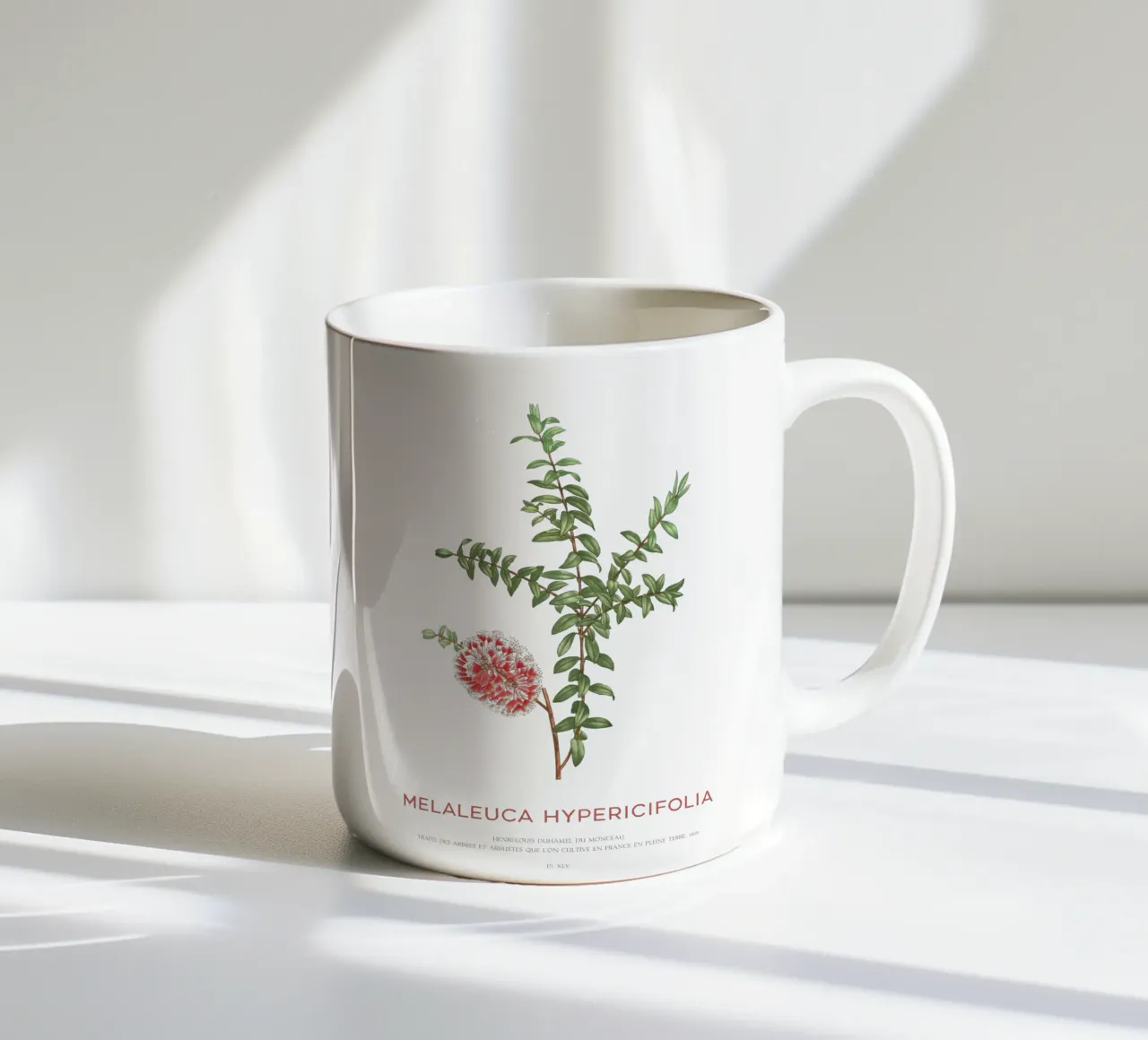 Arbusto a collinetta o Melaleuca Hypericifolia tazza in ceramica da Vintagrafica
