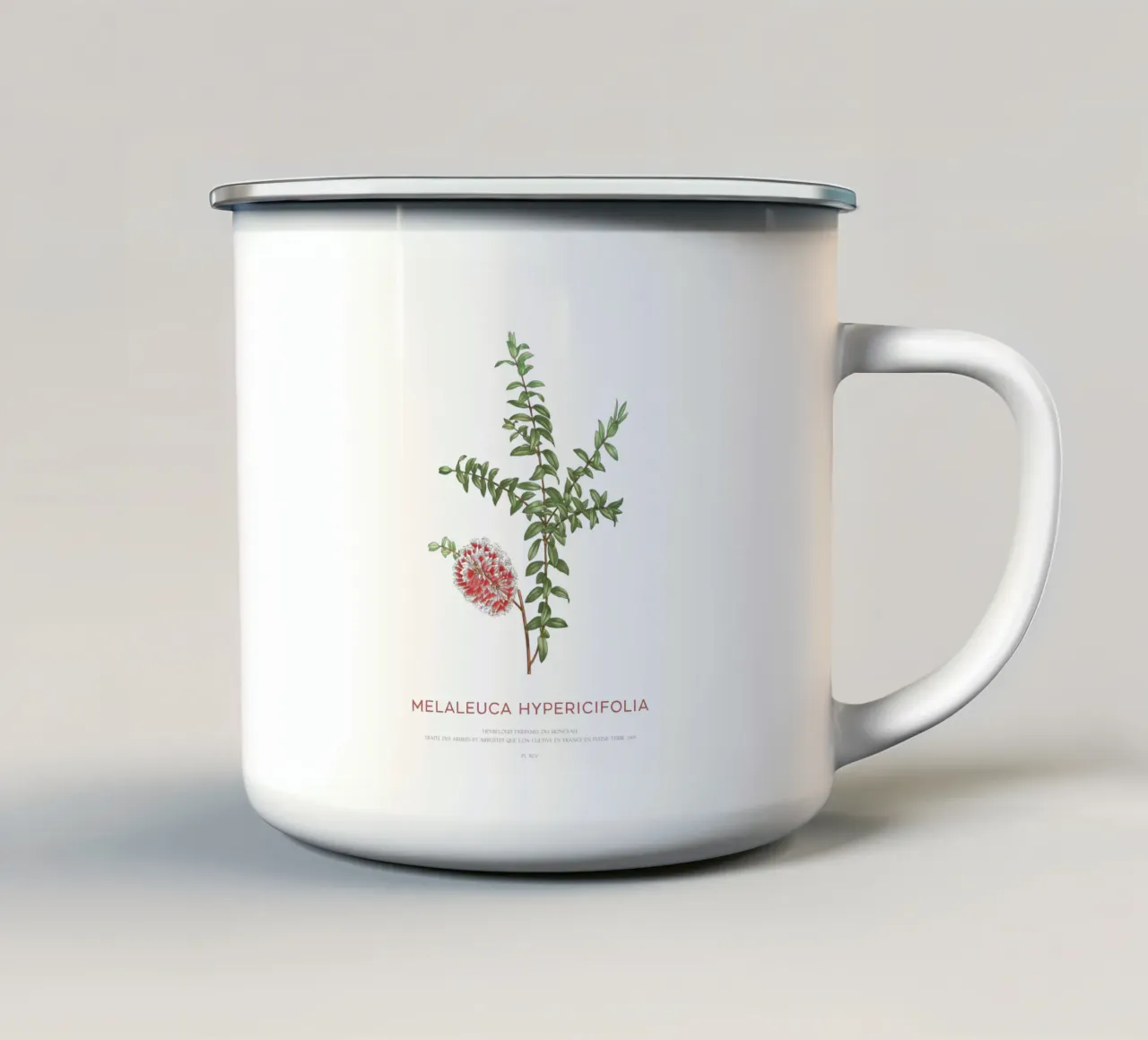 Arbusto a collinetta o Melaleuca Hypericifolia tazza in smalto da Vintagrafica