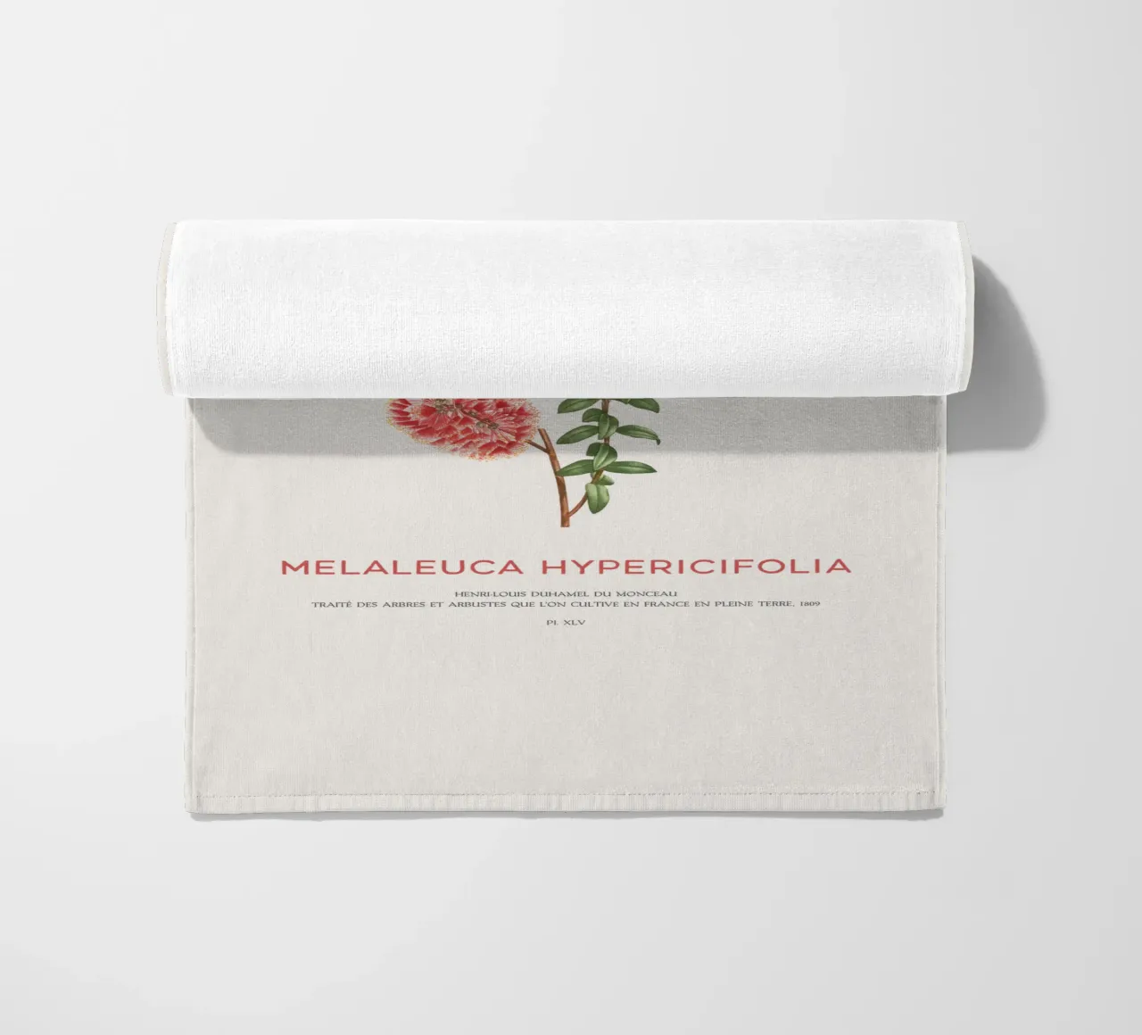 Arbusto a collinetta o Melaleuca Hypericifolia telo mare da Vintagrafica