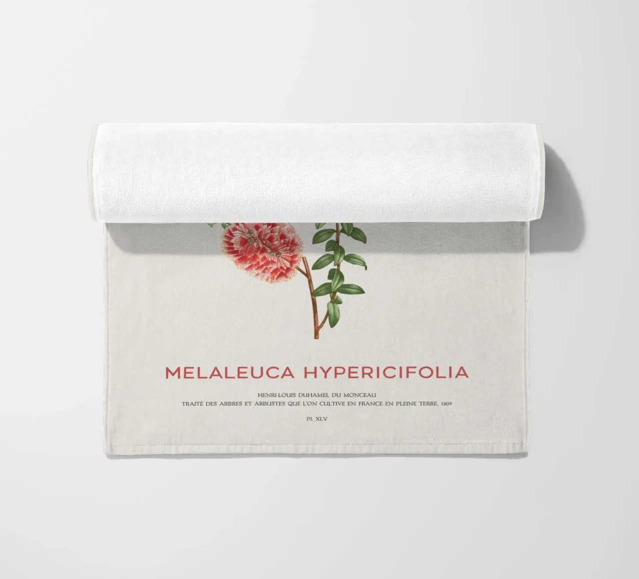 Arbusto a collinetta o Melaleuca Hypericifolia telo mare da Vintagrafica