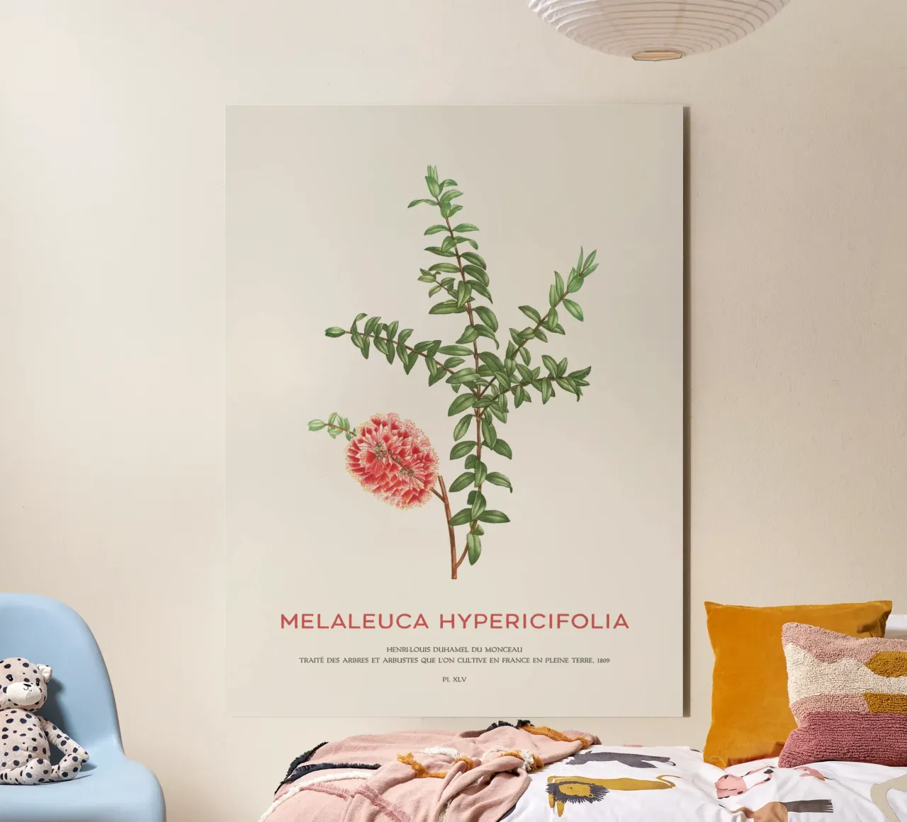 Arbusto a collinetta o Melaleuca Hypericifolia alluminio dibond da Vintagrafica