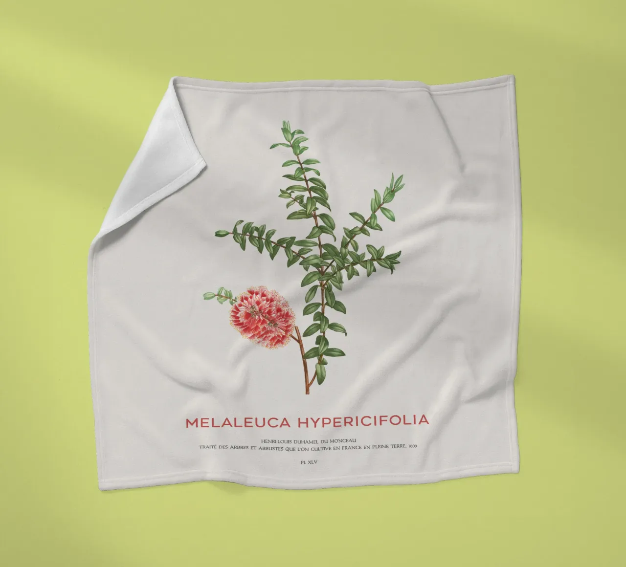 Arbusto a collinetta o Melaleuca Hypericifolia coperta in pile da Vintagrafica