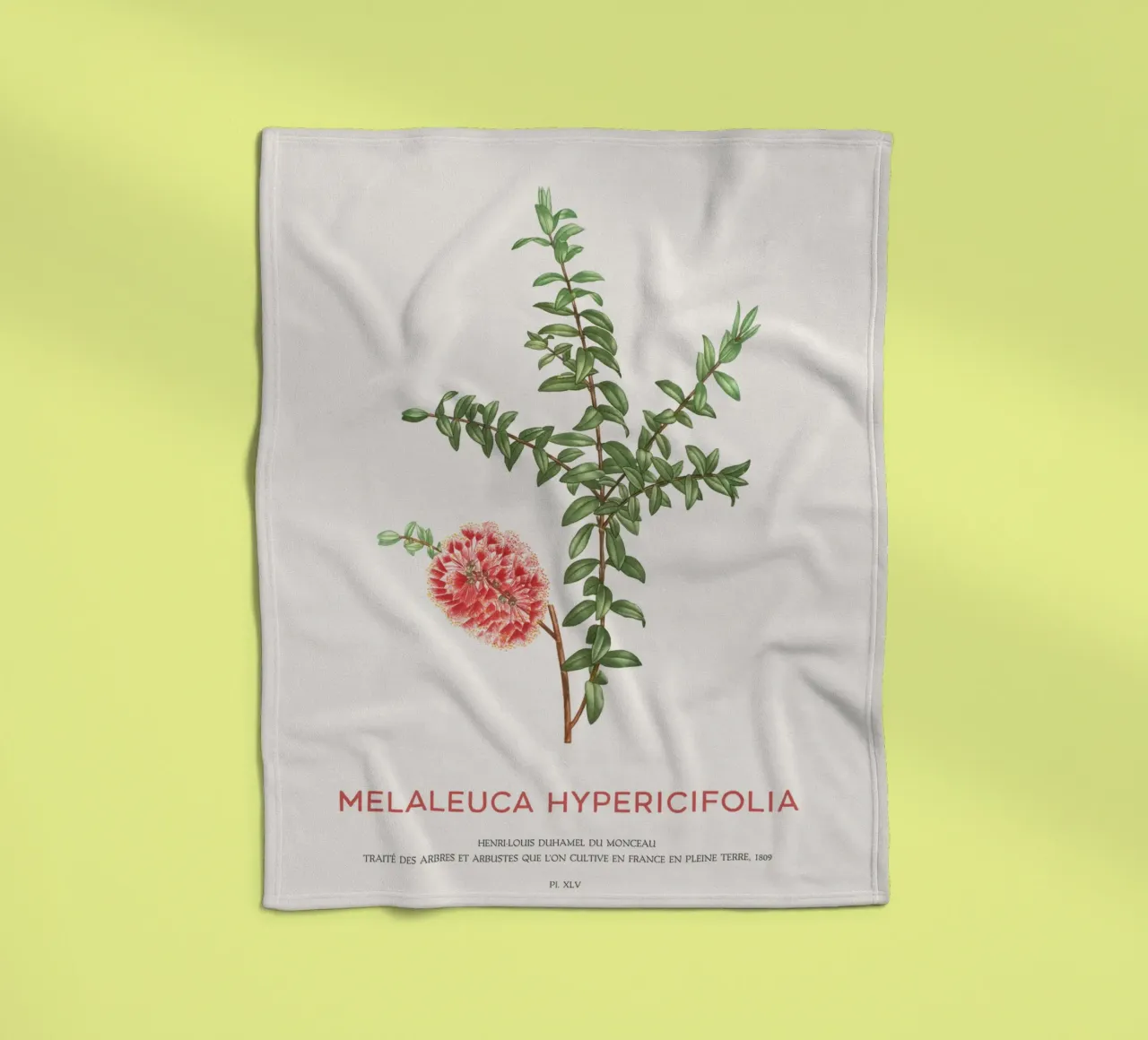 Arbusto a collinetta o Melaleuca Hypericifolia coperta in pile da Vintagrafica