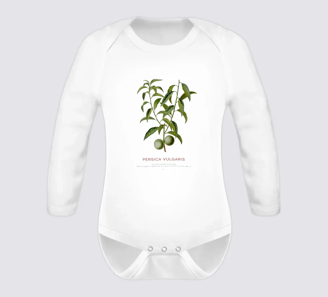 Peach or Persica Vulgaris long-sleeve baby romper by Vintagrafica