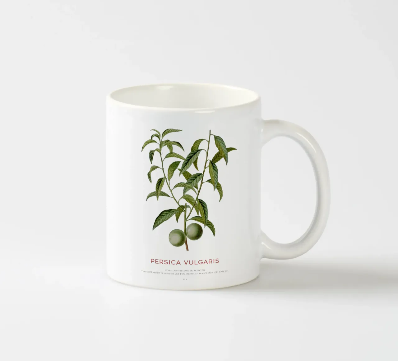 Pesco o Persica Vulgaris tazza in ceramica da Vintagrafica