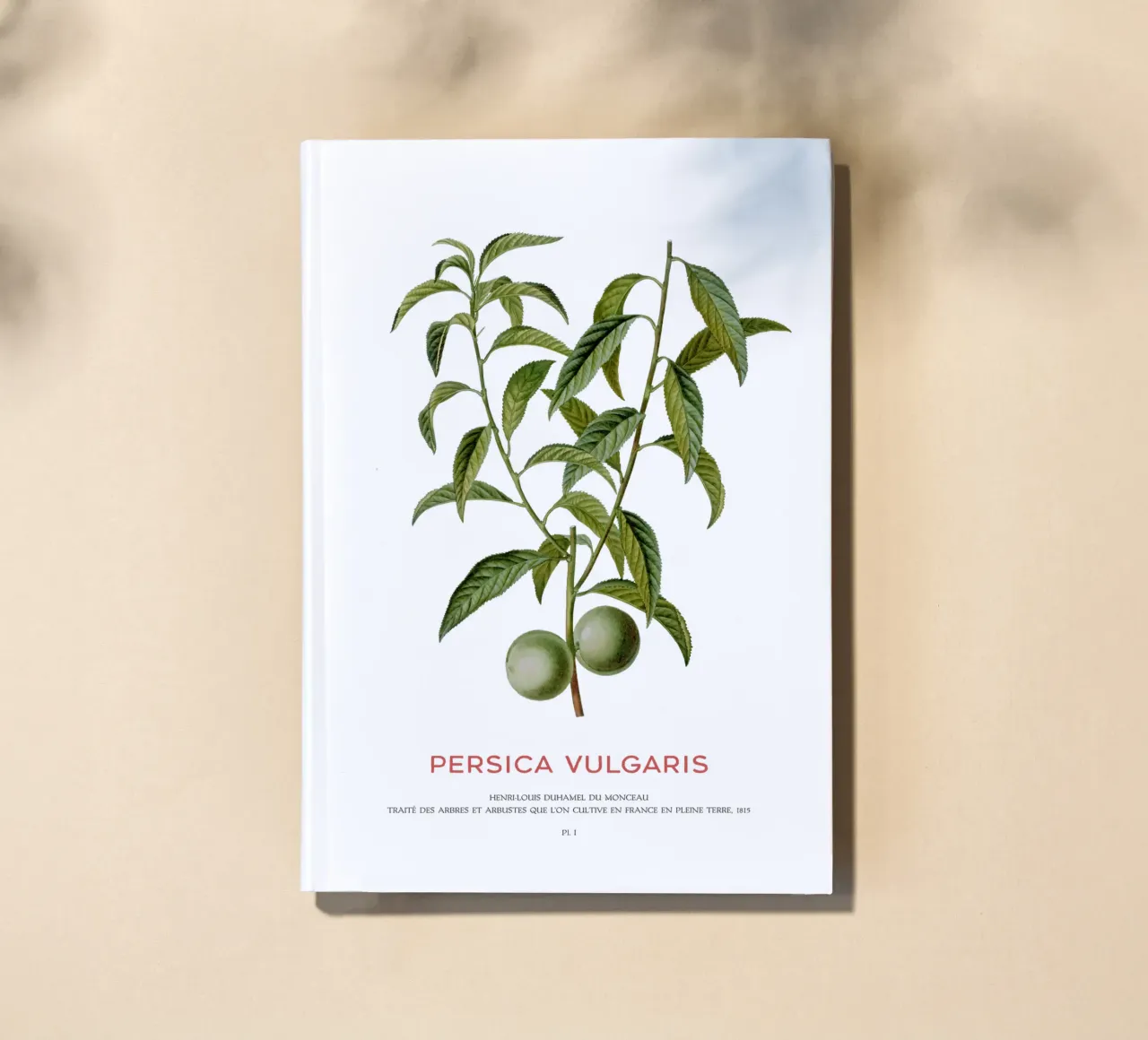 Peach or Persica Vulgaris notebook by Vintagrafica