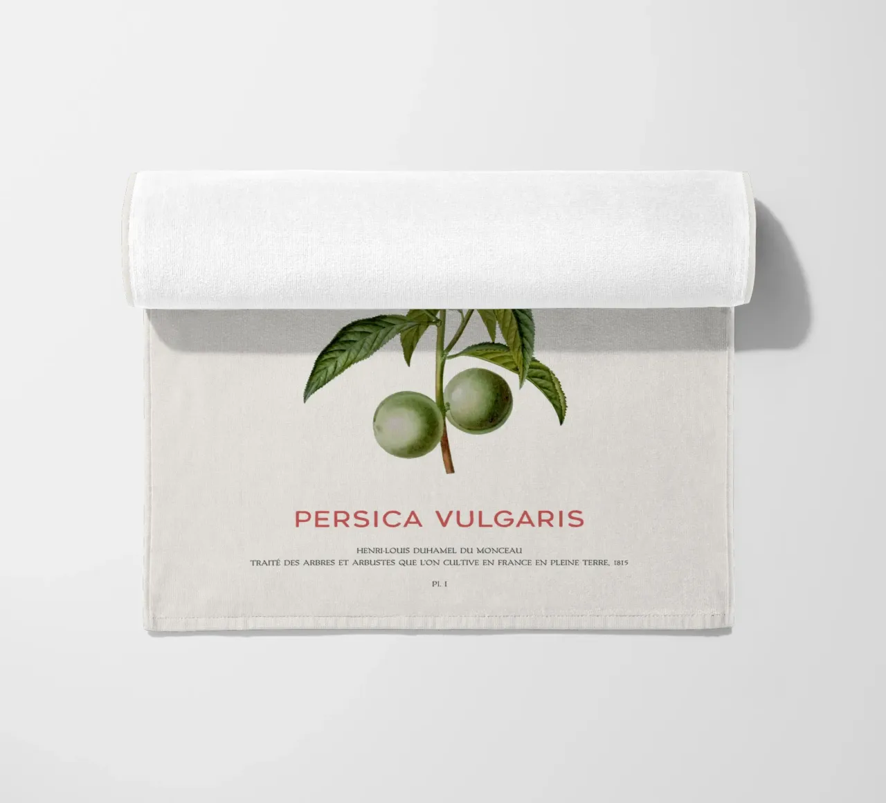 Peach or Persica Vulgaris beach towel by Vintagrafica