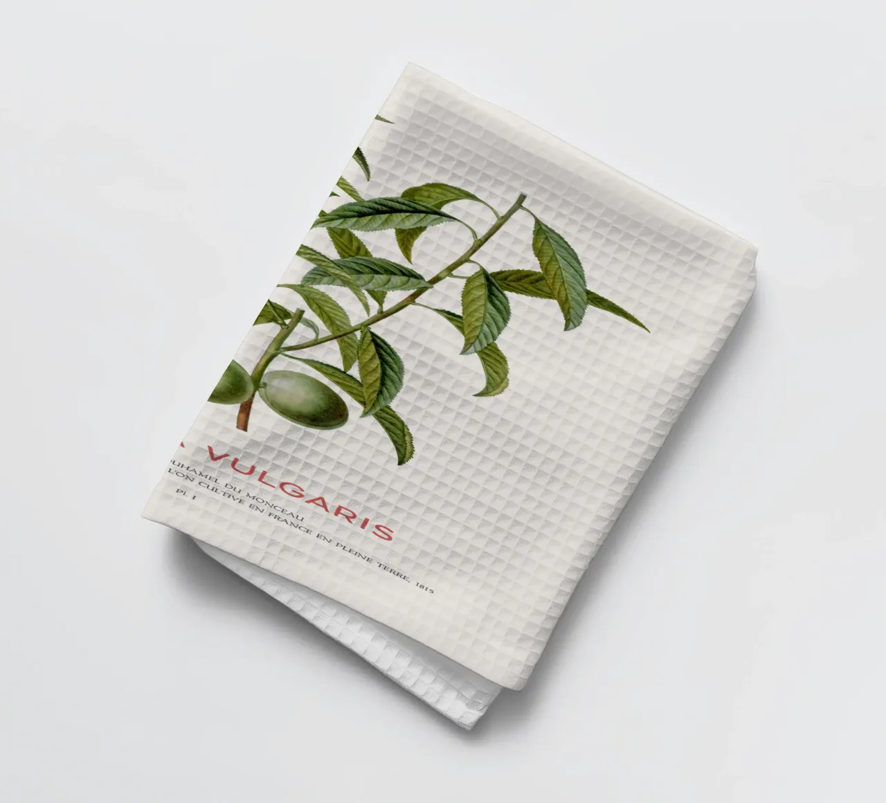 Pfirsich oder Persica Vulgaris Geschirrtuch von Vintagrafica