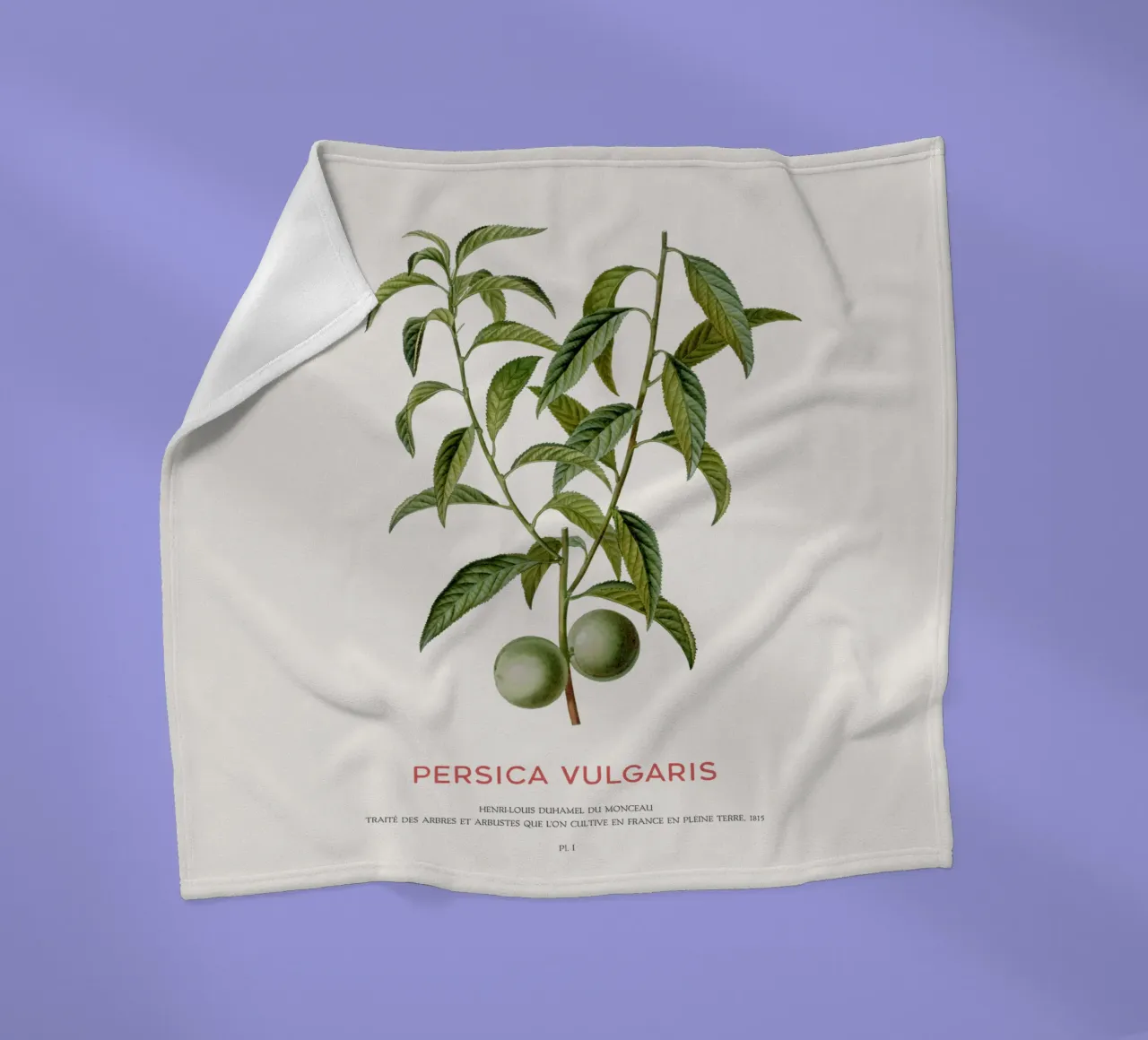 Pfirsich oder Persica Vulgaris Fleecedecke von Vintagrafica