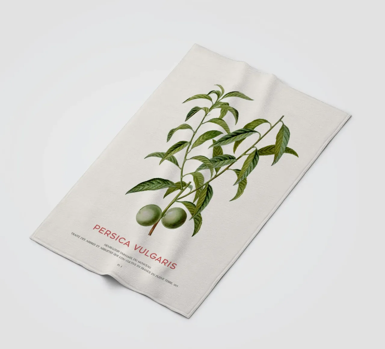 Pfirsich oder Persica Vulgaris Fleecedecke von Vintagrafica