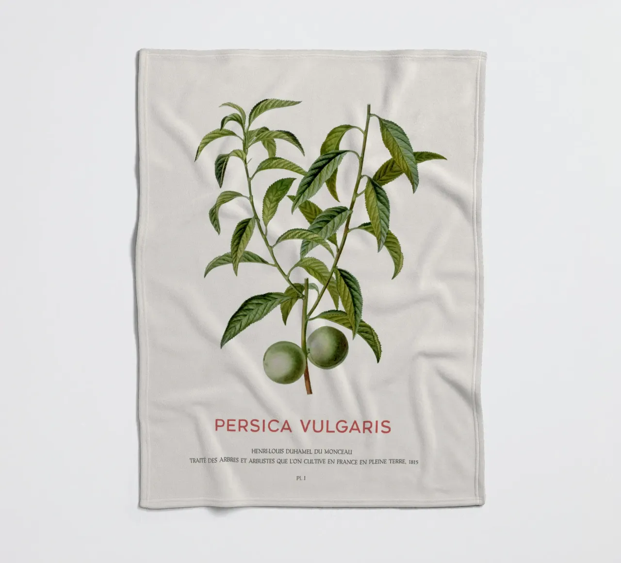 Pfirsich oder Persica Vulgaris Fleecedecke von Vintagrafica