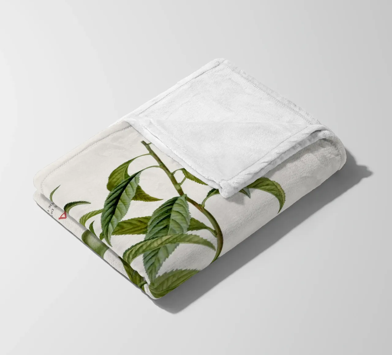 Pfirsich oder Persica Vulgaris Fleecedecke von Vintagrafica