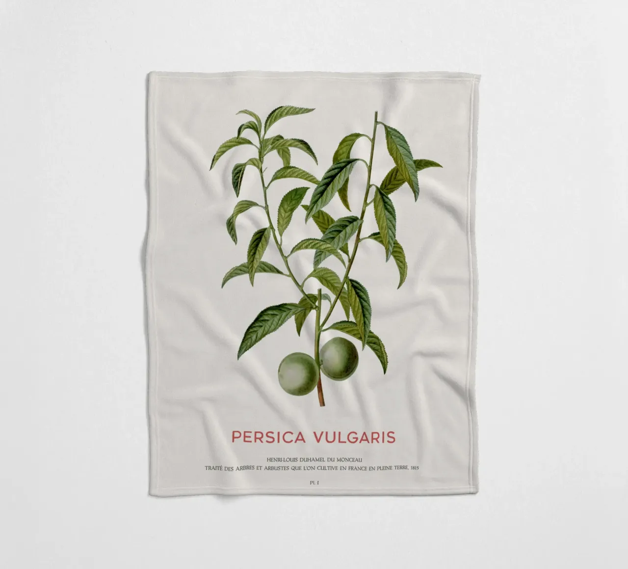 Pfirsich oder Persica Vulgaris Fleecedecke von Vintagrafica
